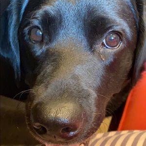 Meet your Posher, Kristin